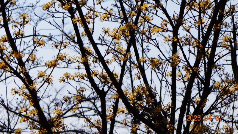 [ٹ̱]DSC06050.JPG