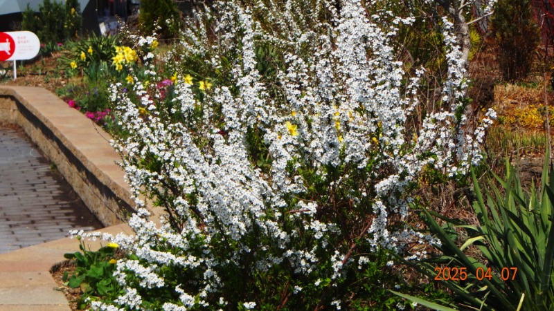 [ٹ̱]DSC06060.JPG