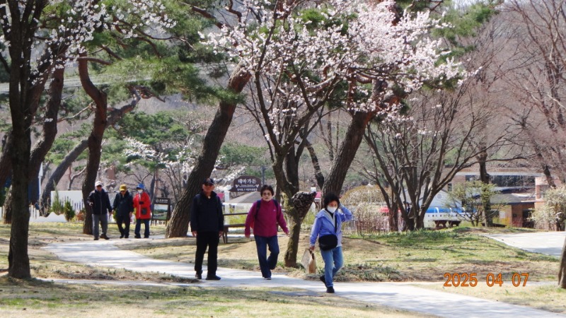 [ٹ̱]DSC06067.JPG