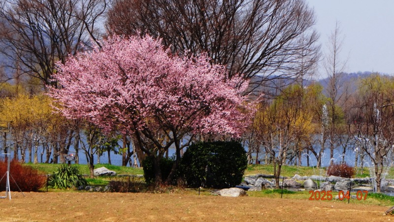 [ٹ̱]DSC06068.JPG