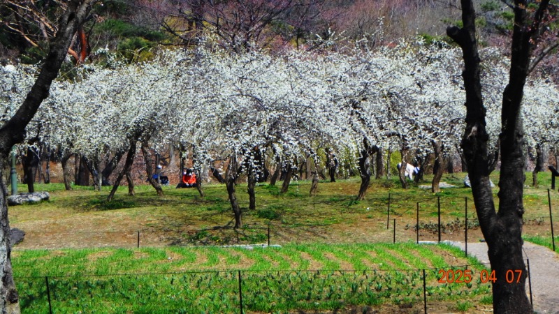 [ٹ̱]DSC06069.JPG