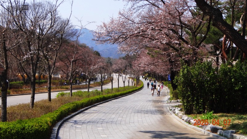 [ٹ̱]DSC06084.JPG