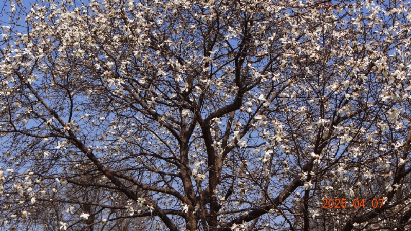 [ٹ̱]DSC06087.JPG