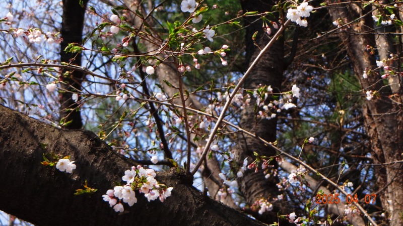 [ٹ̱]DSC06096.JPG