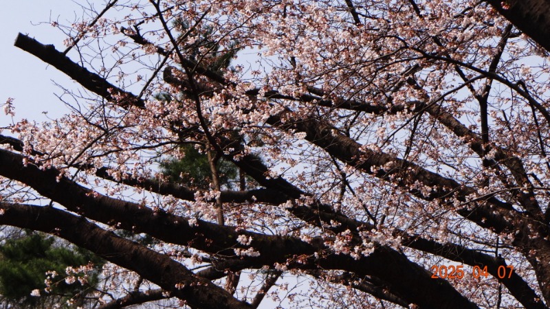 [ٹ̱]DSC06098.JPG