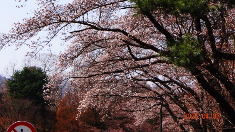 [ٹ̱]DSC06100.JPG