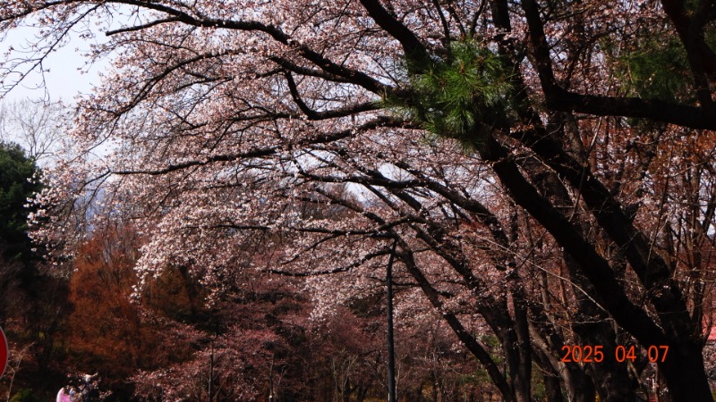 [ٹ̱]DSC06101.JPG