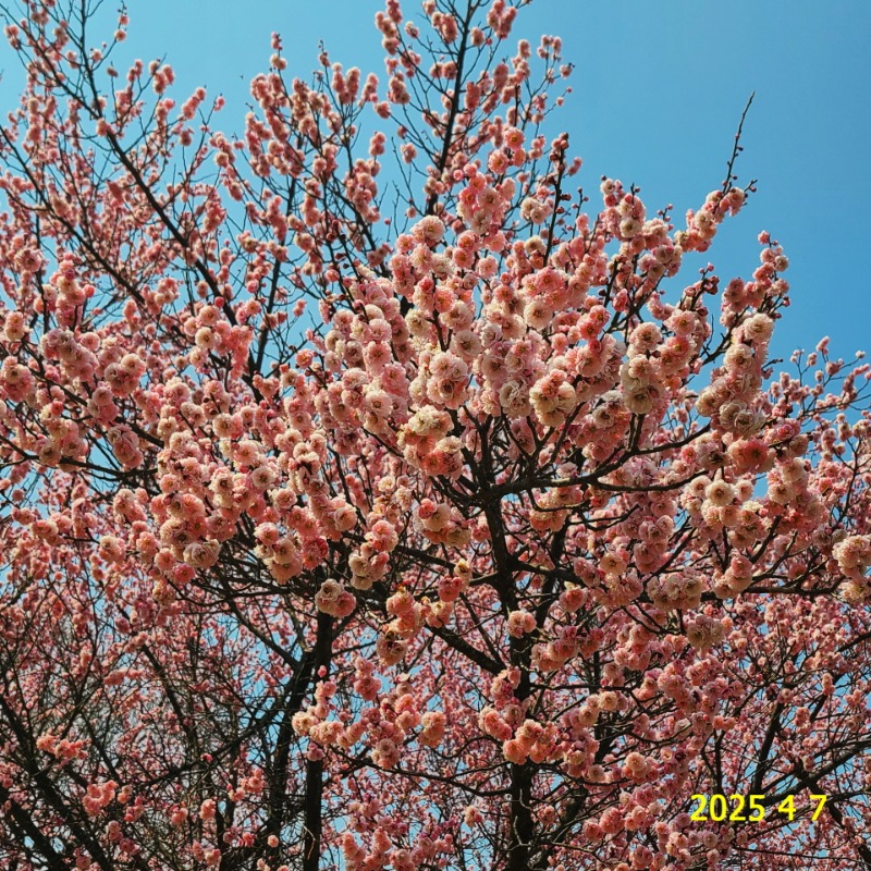 [ٹ̱]076.jpg