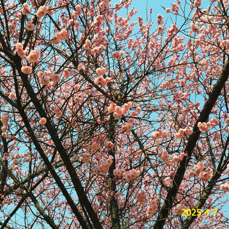 [ٹ̱]079.jpg