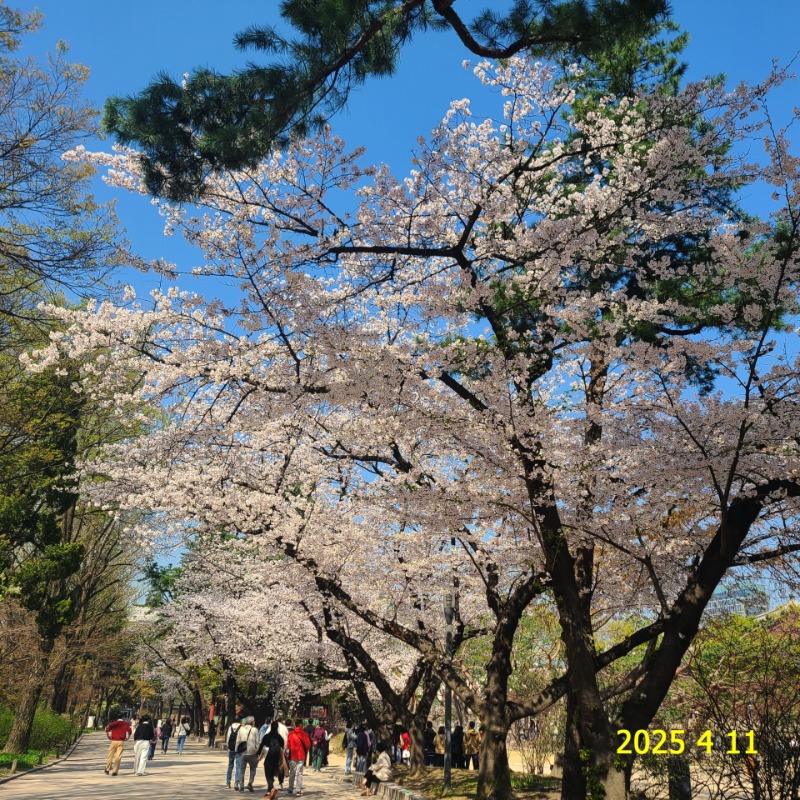 [ٹ̱]009.jpg