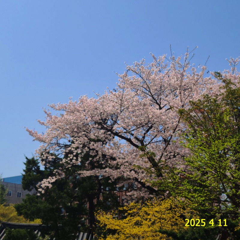 [ٹ̱]036.jpg