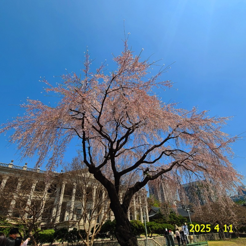 [ٹ̱]043.jpg