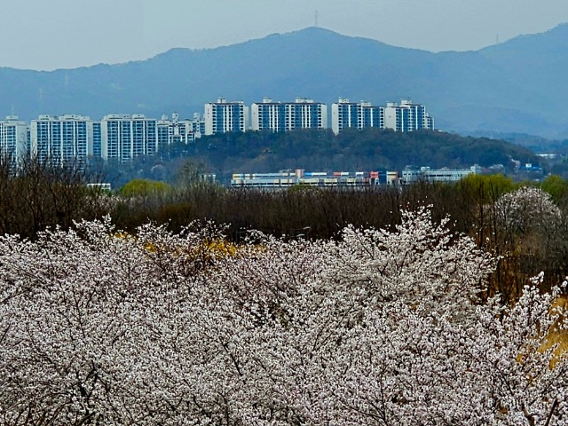 20250409_140227.jpg