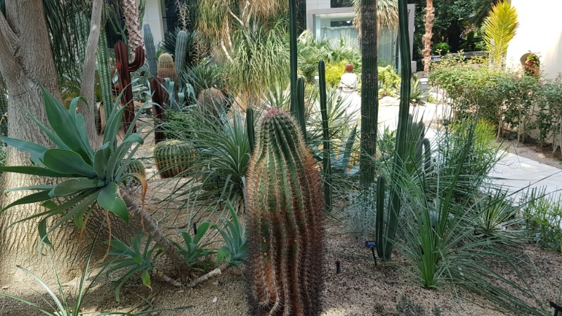 20250424_131751.jpg