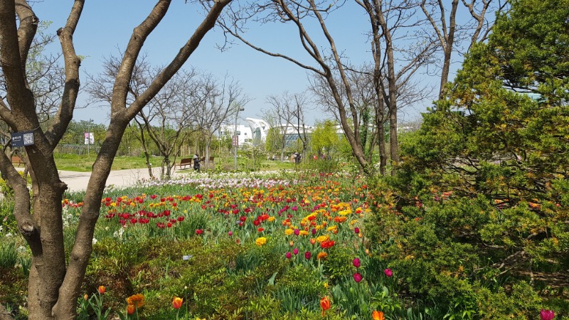 20250424_140421.jpg