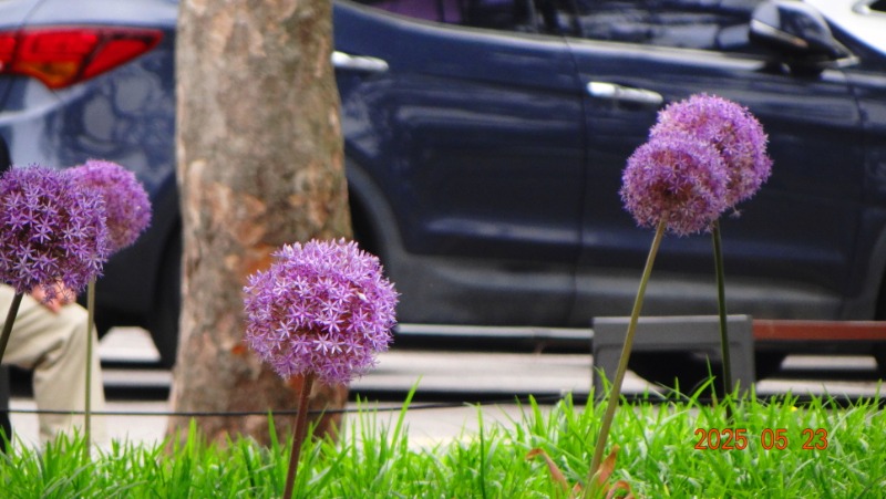 [ٹ̱]DSC06108.JPG