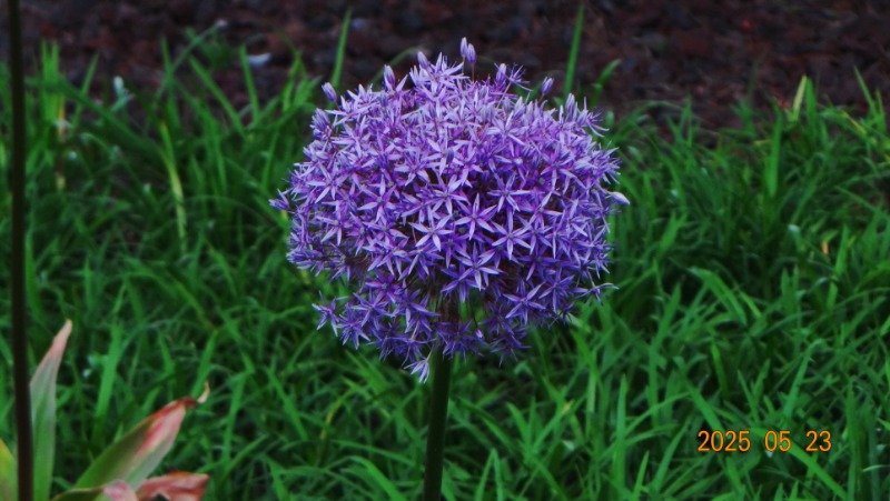 [ٹ̱]DSC06107.JPG