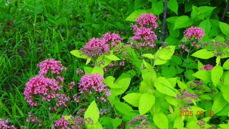 [ٹ̱]DSC06120.JPG