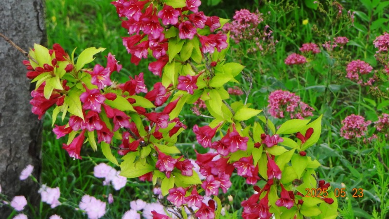 [ٹ̱]DSC06121.JPG