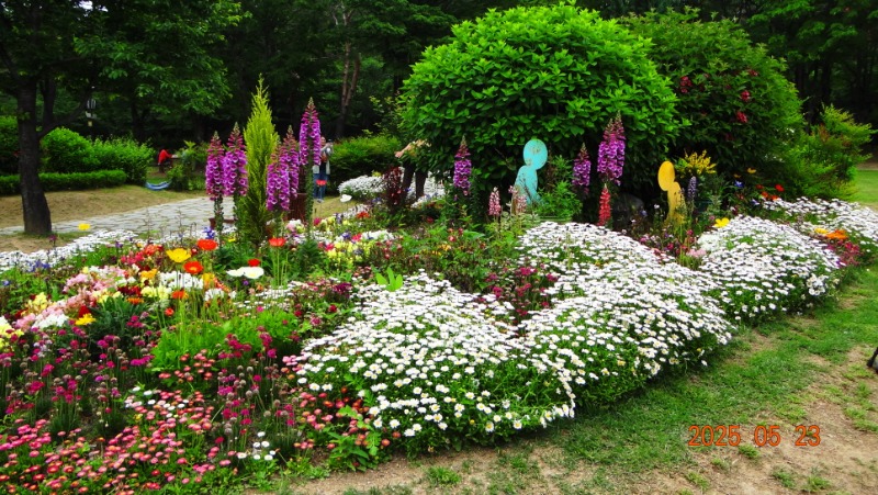 [ٹ̱]DSC06146.JPG