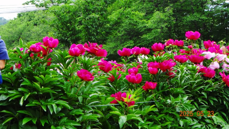 [ٹ̱]DSC06154.JPG