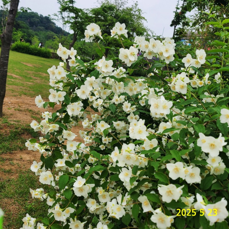 [ٹ̱]087.jpg