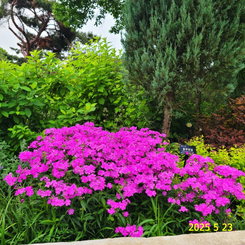 [ٹ̱]101.jpg