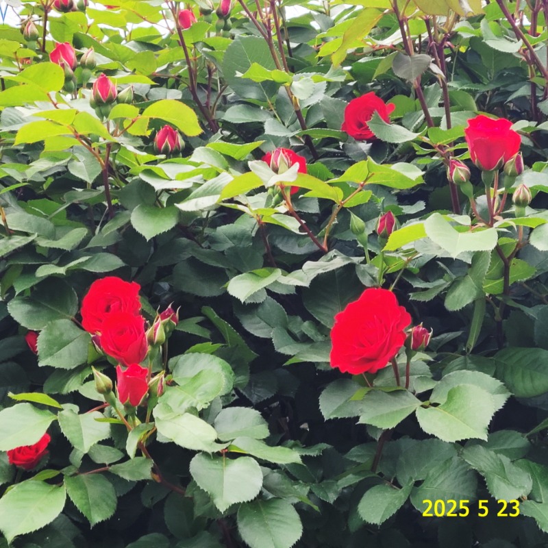 [ٹ̱]109.jpg
