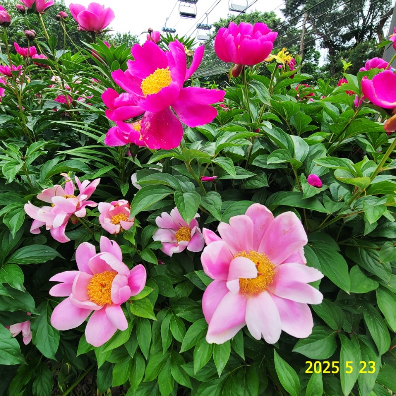 [ٹ̱]113.jpg