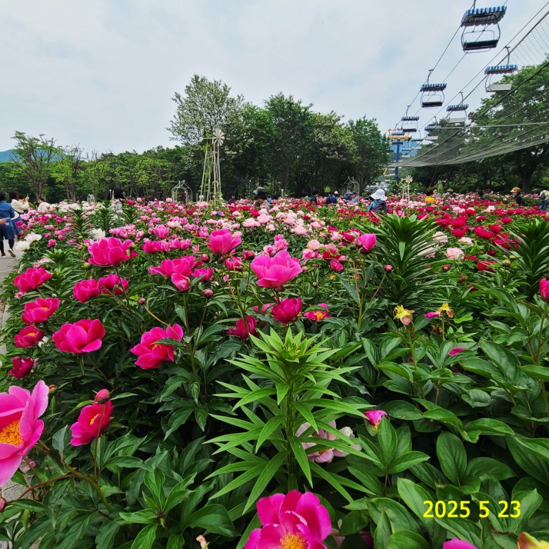 [ٹ̱]115.jpg