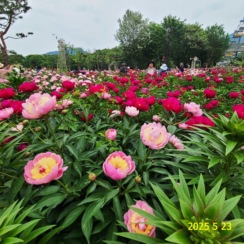 [ٹ̱]121.jpg