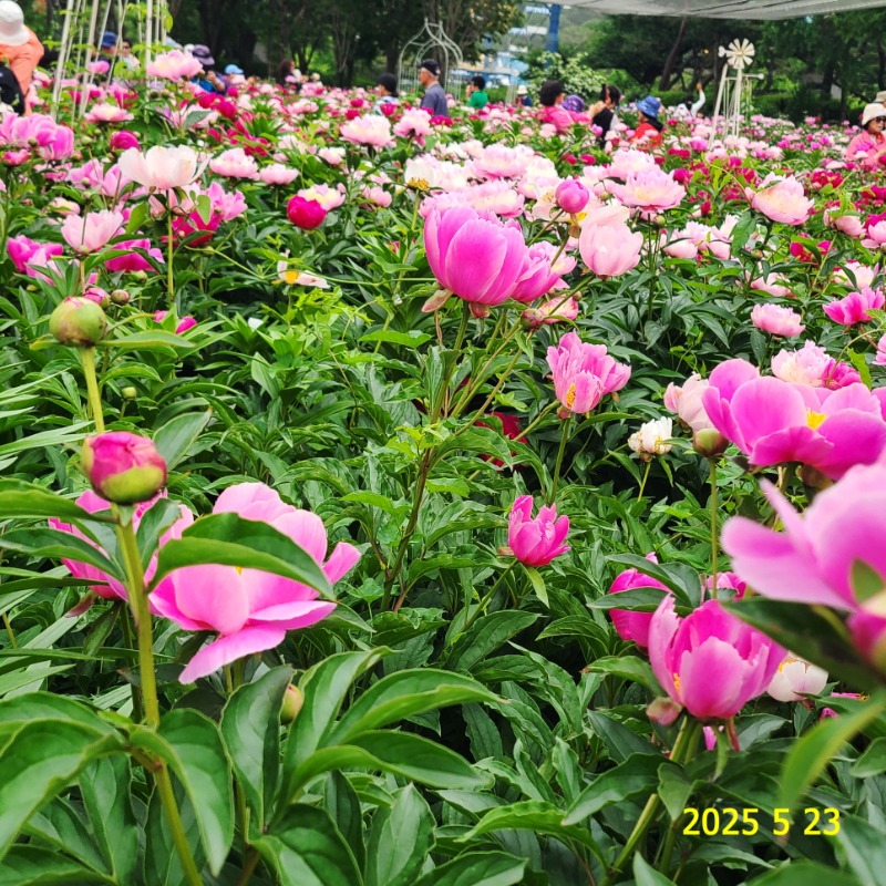 [ٹ̱]195.jpg