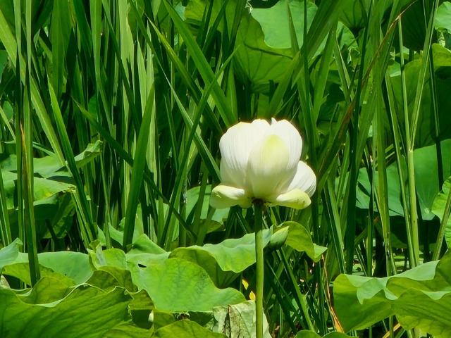 20260621_135425.jpg