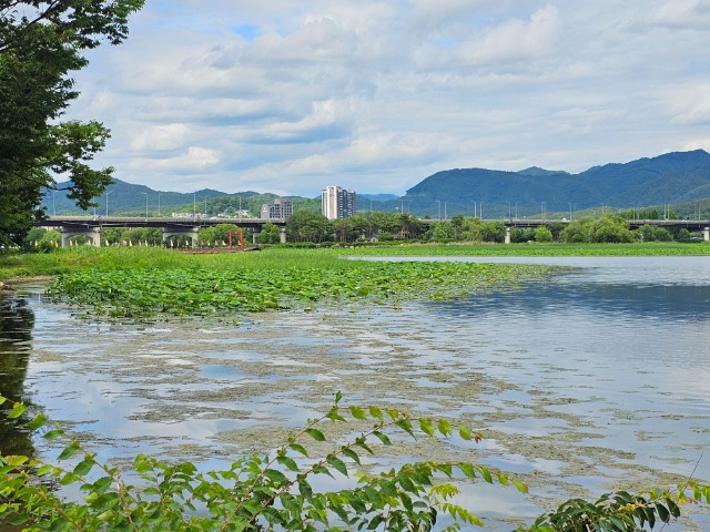 20260621_145153.jpg