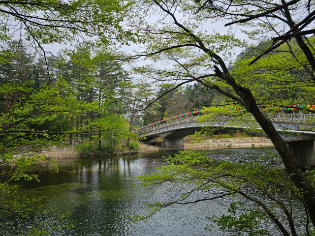 20240429_123907.jpg