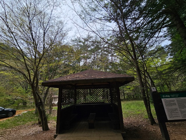 20240429_130625.jpg
