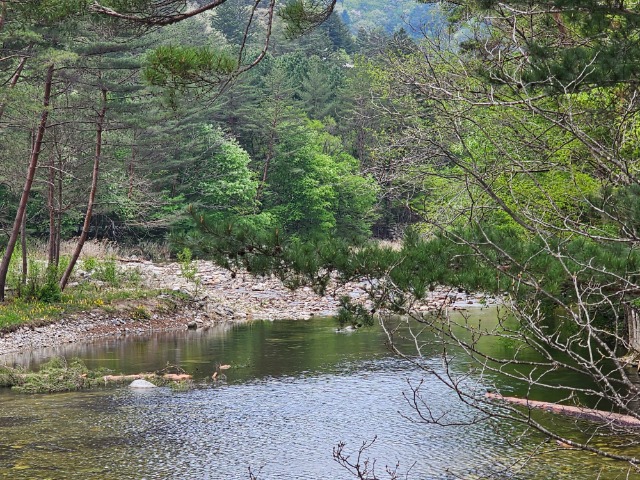 20240429_130943.jpg