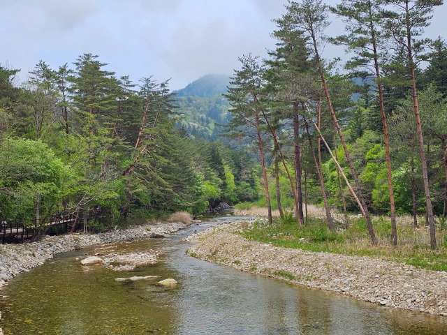 20240429_131245.jpg