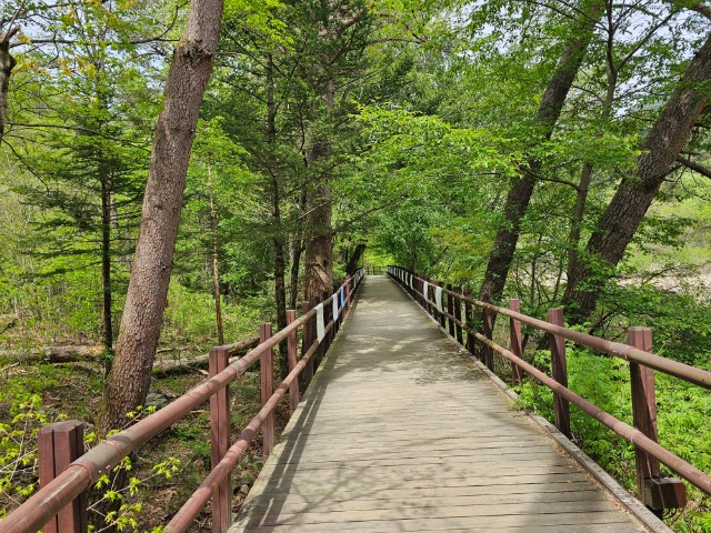 20240429_131734.jpg