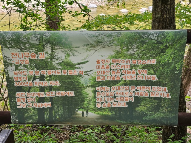 20240429_131919.jpg
