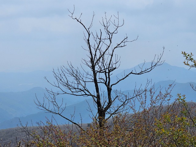 20240430_111120.jpg