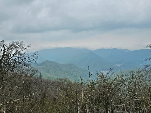 20240430_113005.jpg