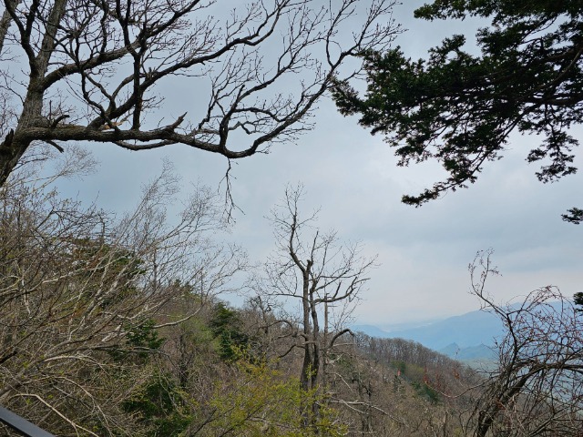 20240430_113416.jpg