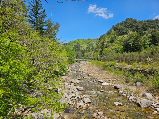 20240502_114535.jpg
