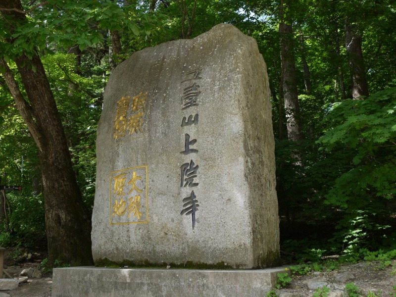 P1000738.JPG