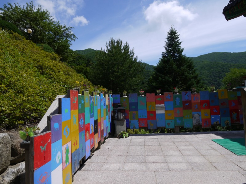 P1000746.JPG
