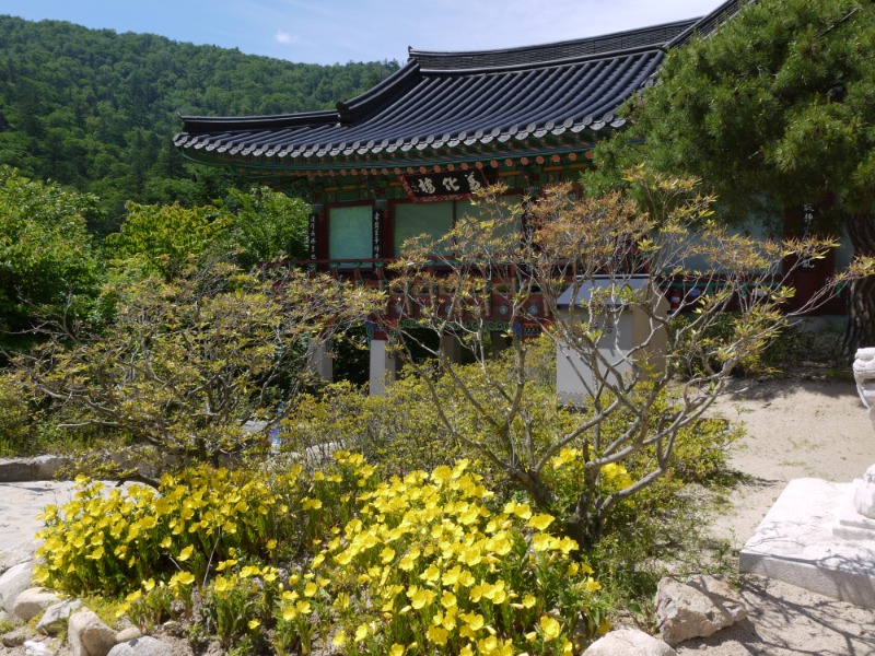 P1000749.JPG
