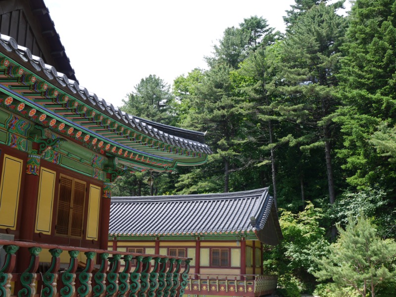 P1000753.JPG