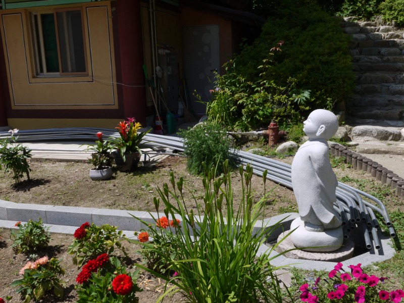 P1000754.JPG