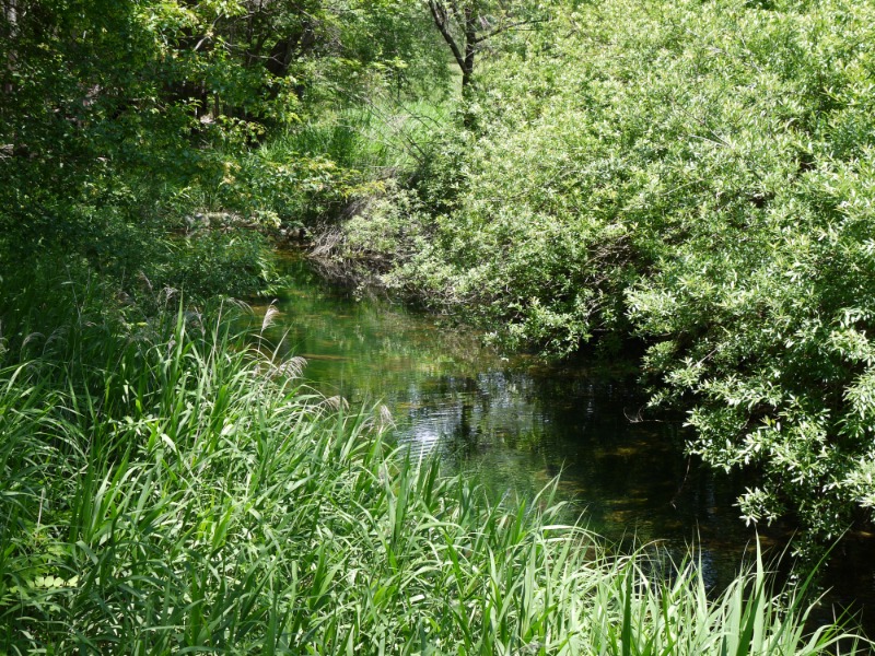 P1000764.JPG